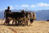 PERU - Sito agricolo di Moray - 03